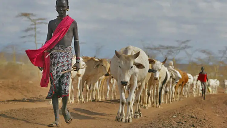 Pastoralist Tana River