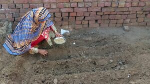 a woman planting seeds