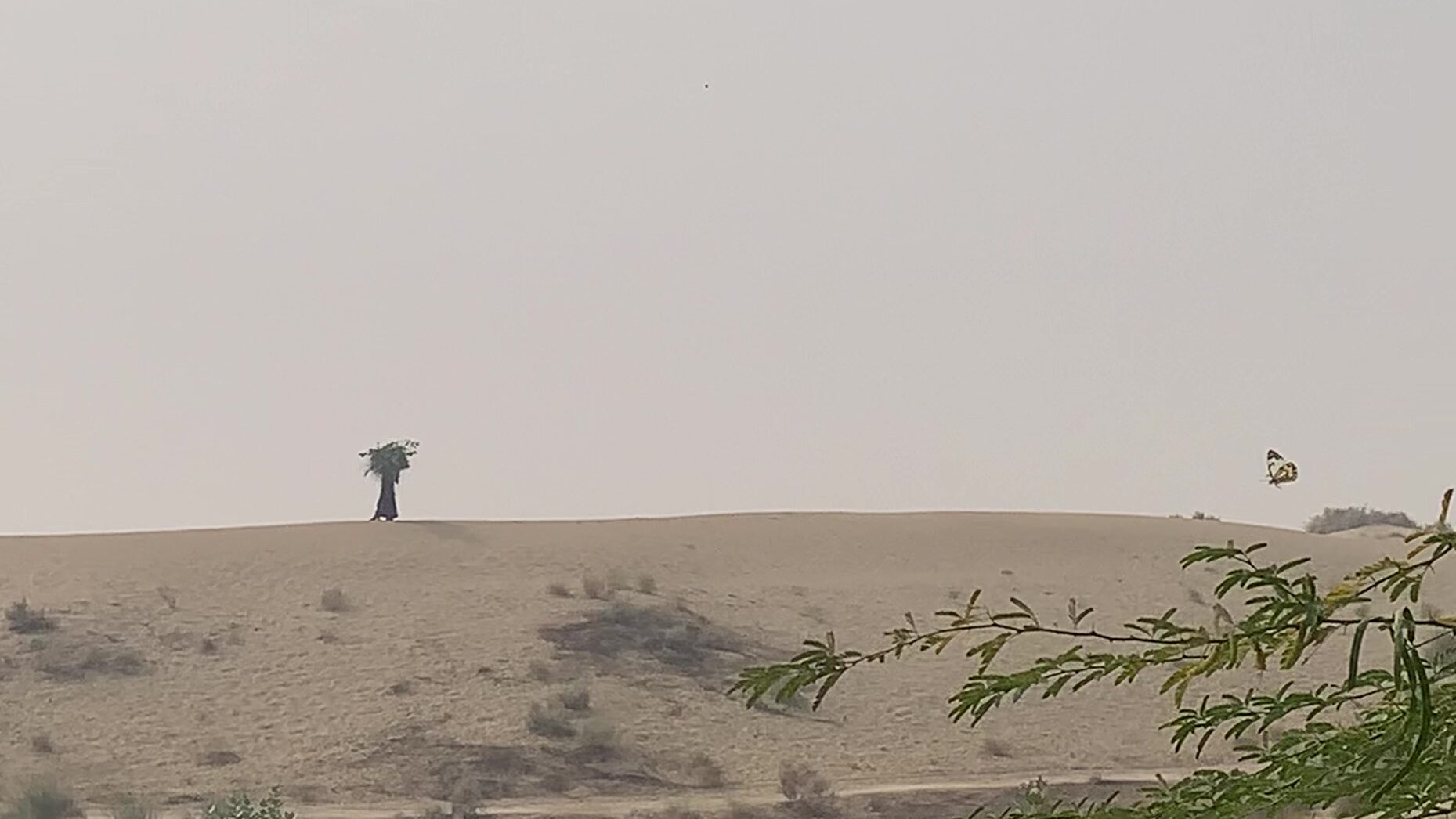 woman walking in desert