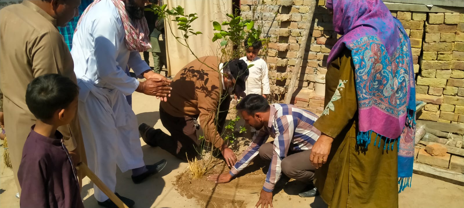 Group of people planting trees