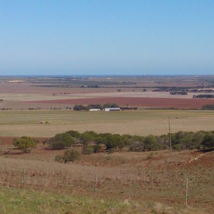 Landscape of farmland